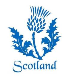 Scotland Thistle Decal Scottish Car Sticker Vinyl Wall Art Bonnet Side Van Graphic Door Motorhome Campervan Caravan