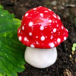 Fairy Mushrooms -Fabulous Fungi Three Hand Crafted Ceramic Toadstools - T203 Garden Statue, Gnome Mushroom, Aquarium Decoration - thumbnail 3