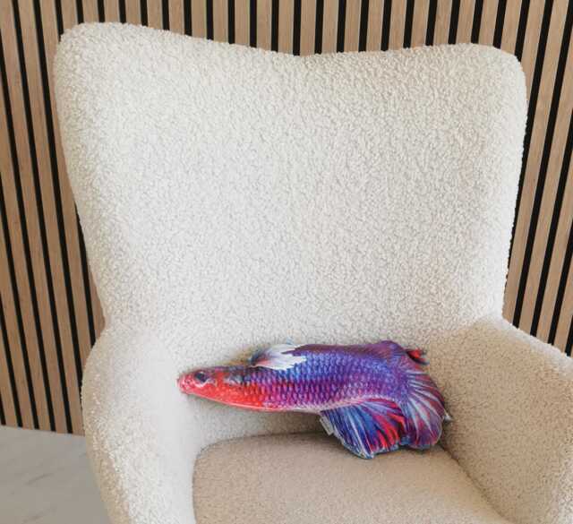 Salmon Fish Pillow Colorful Velvet Stuffed Toy, Coastal Decor