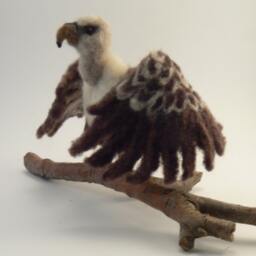 Needle Felted Griffon Vulture, Made To Order - thumbnail 4