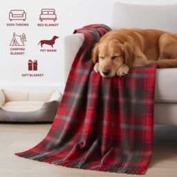Soft Wool Tartan Blanket - 70x60 Inches Soft, Warm & Timeless Campbell Ancient - thumbnail 3