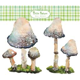 Mushroom Wall Decal, Watercolor Fabric Sticker - Not Vinyl, Woodland Nursery, PVC Free, Forest, Sticker Nature - thumbnail 2