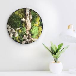 Round Moss Wall Art, Hang Preserved & Cork Bark, Vertical Garden Indoor, Natural Decor, Nature Botanical Art in Circle Frame - thumbnail 2