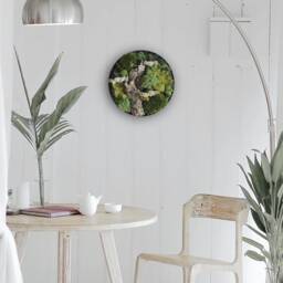 Round Moss Wall Art, Hang Preserved & Cork Bark, Vertical Garden Indoor, Natural Decor, Nature Botanical Art in Circle Frame - thumbnail 4