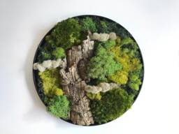 Round Moss Wall Art, Hang Preserved & Cork Bark, Vertical Garden Indoor, Natural Decor, Nature Botanical Art in Circle Frame - thumbnail 1