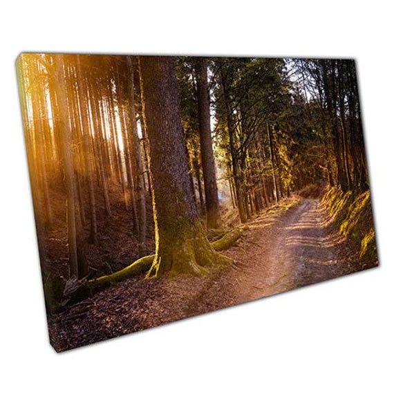Enchanting Woodland Walk Canvas Print Golden Hour Nature Landscape For Home & Office Wall Decor - image 1