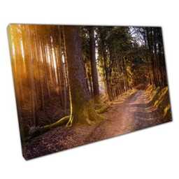 Enchanting Woodland Walk Canvas Print Golden Hour Nature Landscape For Home & Office Wall Decor - thumbnail 1