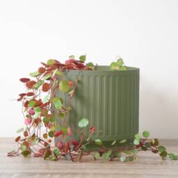 "Jetsetter Planter With Drainage & Saucer in Army Green, Unique 3D-Printed Plant Pot, Small To Large Sizes 4"" 5"" 6"" 7"" 8" - thumbnail 2