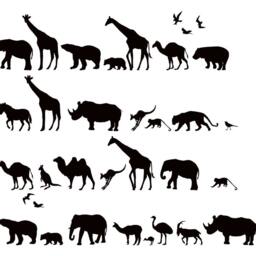 Safari Animals Wall Decal - Africa Nursery Decor, Vinyl Sticker - thumbnail 2