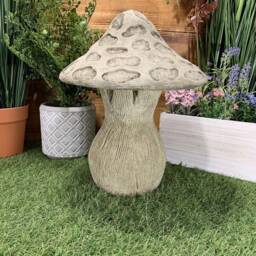 stone Garden Traditional Large Toadstool Mushroom 2 Piece Concrete Ornament - thumbnail 3