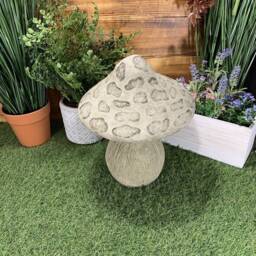 stone Garden Traditional Large Toadstool Mushroom 2 Piece Concrete Ornament - thumbnail 4