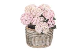 Large Round Antique Wash Planter Plant Pot Birthday Retirement Gift Wooden Vintage For Nanny Mum Gran Nana Flower Gardener Gifts Mothers Day
