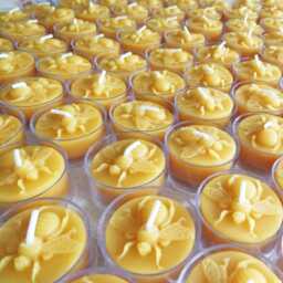 Honey Bee Tealight Beeswax Candles Bulk 100% Natural Usa Handmade Tea Lights Sets 6-500, Wedding Event Party Favors With Holders Cotton Wick