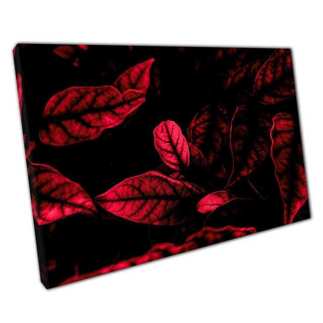 Vibrant Red & Black Leaves Abstract Canvas Print Artistic Wall Art For Home Office Decor - image 1