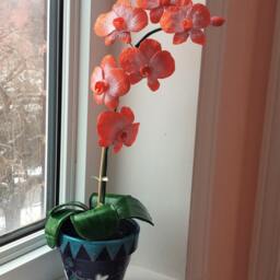 Orchid Plant Made Entirely Of Clay/Orchid Plant, Handmade, Clay - thumbnail 4
