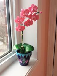 Orchid Plant Made Entirely Of Clay/Orchid Plant, Handmade, Clay - thumbnail 1