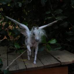 Needle Felted Pegasus. Winged Horse. Felt By Daria Lvovsky - thumbnail 3