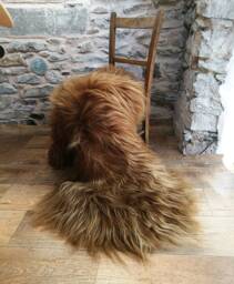 Highland Cow Icelandic Sheepskin Rug 47 - thumbnail 1