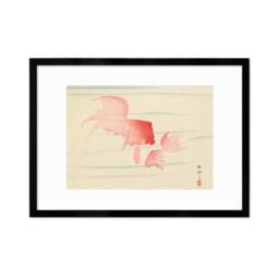 Japanese Art Goldfish Framed Mounted Ukiyo-E Wall Decor Print Poster Woodblock Koson Shoson Two Veil Tails Fish Beautiful Watercolour Nature - thumbnail 3
