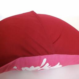 Hot Pink Cardinal On Agapanthus-Mini 10.5 Inches Square Pillow - thumbnail 4
