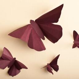 3D Wall Butterflies Plum Butterfly Silhouettes For Girls Room, Nursery, & Home Art Decor - thumbnail 2
