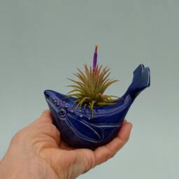 Small Whale Air Plant Holder, Bring The Beach Home - thumbnail 2