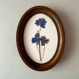 Brown Oval Frame Oval Picture For Embroidery Wooden Photo Size 3 ?? 5 4 X 6 7 8 10 Inches - thumbnail 3