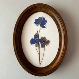 Brown Oval Frame Oval Picture For Embroidery Wooden Photo Size 3 ?? 5 4 X 6 7 8 10 Inches - thumbnail 2