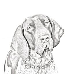 Bracco Italiano - Wooden Stand For Candles/Pens With The Image Of A Dog New Collection - thumbnail 2