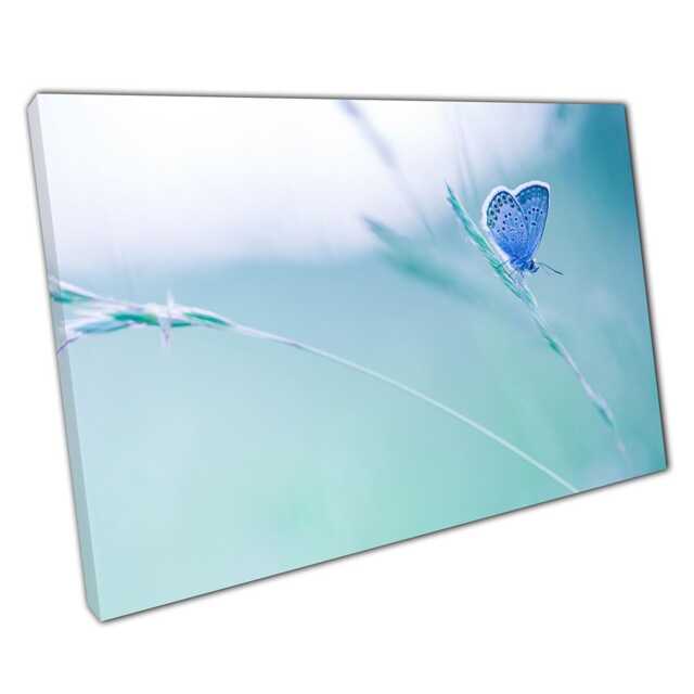 Serene Pastel Blue Butterfly Canvas Tranquil Summer Meadow Wall Art For Home & Office Decor - image 1
