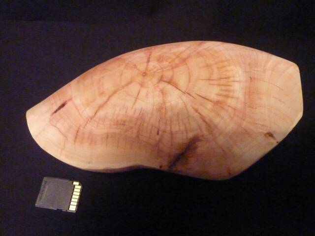 Wooden Octopus Sculpture - image 1
