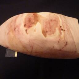 Wooden Octopus Sculpture - thumbnail 4
