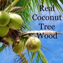 Coconut Wood Soap Dish Sustainable Palm Drainer - thumbnail 2