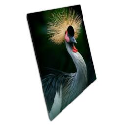 Crowned Crane Canvas Print Stunning Uganda Nature Photography Wall Art For Home & Office Decor - thumbnail 1