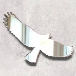 Eagle Acrylic Mirror Wall Art Personalized Engraving Options - thumbnail 2
