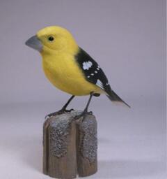 Yellow Grosbeak Wooden Carved Bird Carving - thumbnail 2