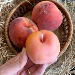 Realistic Peach Handmade Candle, Garden Lover's Gift, Unique Table Decor, Mother's Day Gift - thumbnail 3
