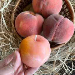 Realistic Peach Handmade Candle, Garden Lover's Gift, Unique Table Decor, Mother's Day Gift - thumbnail 2