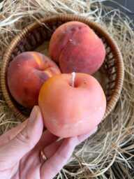 Realistic Peach Handmade Candle, Garden Lover's Gift, Unique Table Decor, Mother's Day Gift - thumbnail 1