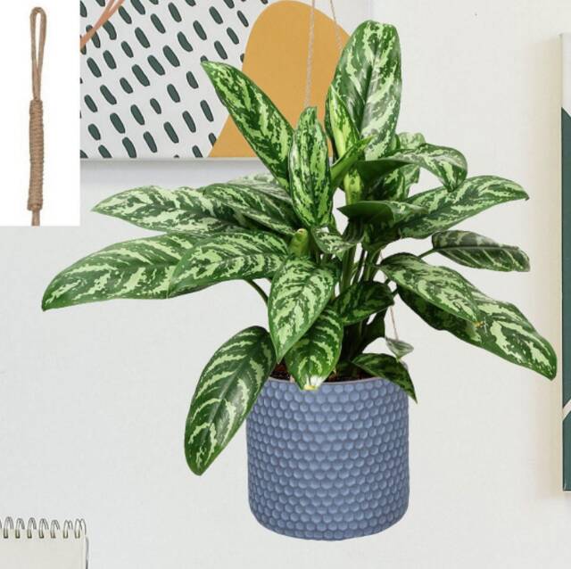 Grey Honeycomb Style Handmade Concrete & Stone Hanging Pot Planters With Recycled Rope For Trailing Cascading Vining Plants Pothos Ivy - image 1