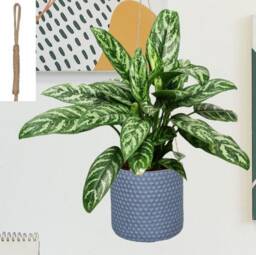 Grey Honeycomb Style Handmade Concrete & Stone Hanging Pot Planters With Recycled Rope For Trailing Cascading Vining Plants Pothos Ivy - thumbnail 1