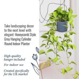 Grey Honeycomb Style Handmade Concrete & Stone Hanging Pot Planters With Recycled Rope For Trailing Cascading Vining Plants Pothos Ivy - thumbnail 2