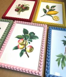 Set Of Vintage Style Fruit Prints // X5 Bobbin Frames Farrow & Ball Colours Wall Decor - thumbnail 1
