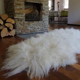 "Giant White Icelandic Double Sheepskin Rug, Genuine Leather Wool Carpet - 79"" X 36" - thumbnail 2