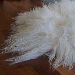 "Giant White Icelandic Double Sheepskin Rug, Genuine Leather Wool Carpet - 79"" X 36" - thumbnail 4