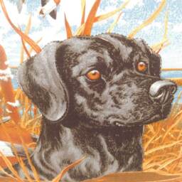 Cushions For Dog Lover, Black Labrador Cushion, Hand Crafter Cushions, Complete Gift Animal Lover Gift, Xmas - thumbnail 2