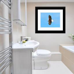 Digital Download Prints, Bald Eagle, Eagle Print, Bird Of Prey, Animal Wall Art, Printable Instant Download, Soaring - thumbnail 4