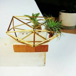 Geometric Air Plant Holder, Airplant Hanger, Tillandsia Display, Flatlay Prop, Glassless Terrarium - thumbnail 1