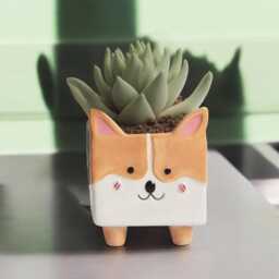 Cartoon Fox Ceramic Planter - Balcony Succulent Pot - thumbnail 3