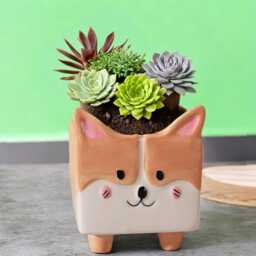 Cartoon Fox Ceramic Planter - Balcony Succulent Pot - thumbnail 2